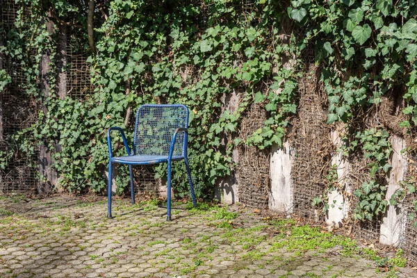 봄에 시립 공원 의정원 의자 — 스톡 사진