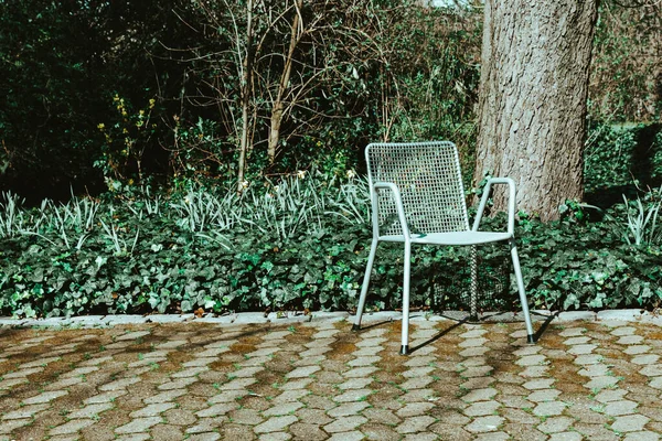 Silla Jardín Parque Ciudad Primavera Delante Árbol —  Fotos de Stock