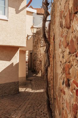 Her iki tarafında evler olan eski bir Alman kasabasında dar, kozalaklı bir cadde.