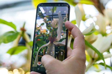 Adam çiçekleri cep telefonuyla çekiyor.