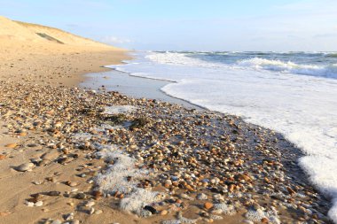Farklı yuvarlak çakıl taşları sahilde