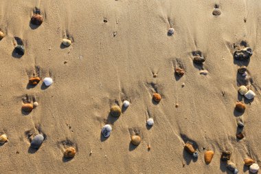 Arka plan olarak sahilde çakıl