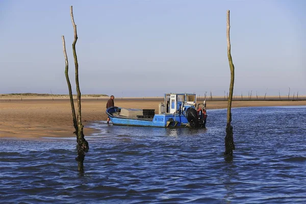 İstiridye çiftlik Arcachon Bay, Fransa