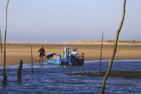 İstiridye çiftlik Arcachon Bay, Fransa