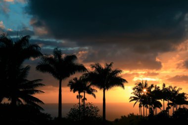 Renkli günbatımı veya gündoğumu Hindistan cevizi palmiye ağaçlarının silüeti 