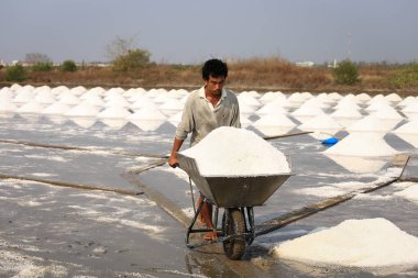  Çalışan bir yumuşak mavi gökyüzü Tayland tuz çiftliğinde tuz toplama.