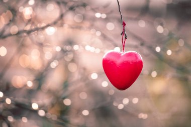 Ağaç üzerinde şube asılı kalp şekli aşk sembolü