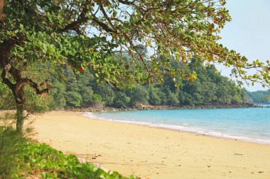 Cennet gizli beach, Koh Phayam Island, Tayland
