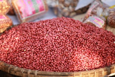 Taze yer fıstığı fıstık