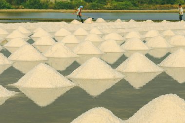 Amsterdam Görünümü 