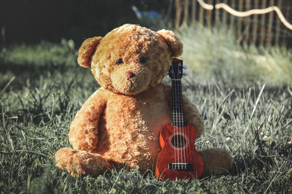 Jeu ours en peluche tenant ukulele — Photo