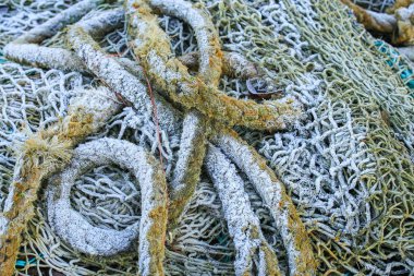  Donmuş ip ve kar altında File