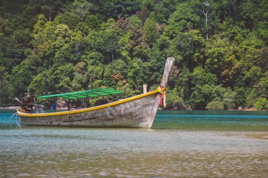 Longtail tekne tropikal Adası Tayland 