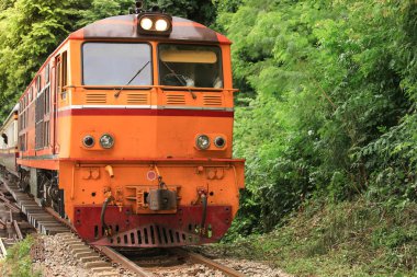 Kanchanaburi Kwai Nehri üzerinde köprü trende