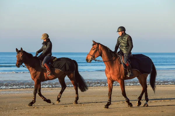 Sahilde ata binen adam. 