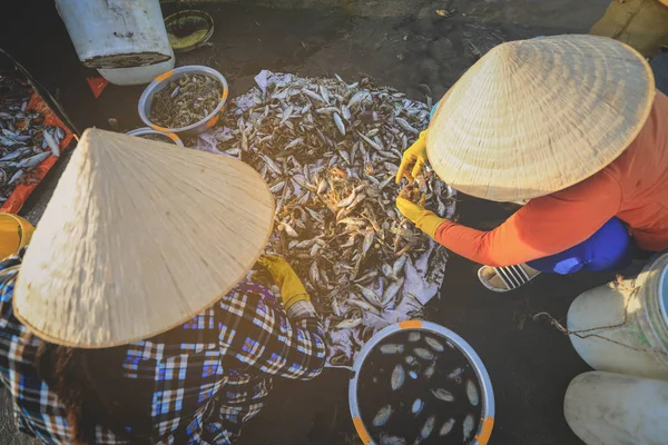 Local vendor is collecting fishes and shrimps at fishing village in Mui ne, Vietnam