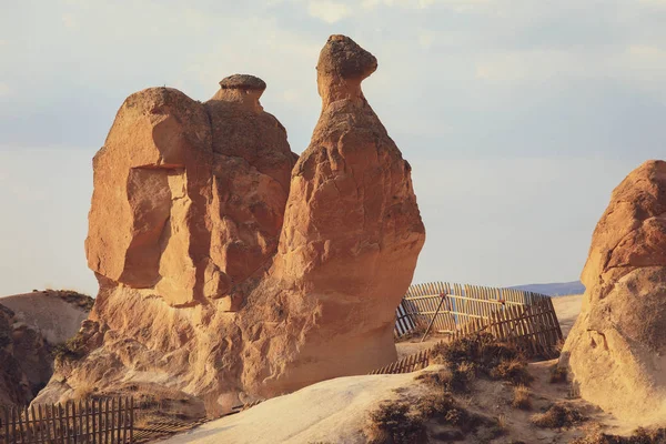 Camel Rock Dolinie Devrent Dolina Imaginary Kapadocji Anatolii Turcja Miejsce — Zdjęcie stockowe