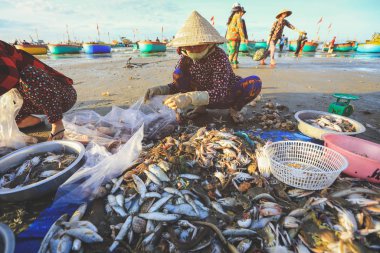 Mui ne - Vietnam - 22 Ocak 2019: Yerel satıcılar Mui ne, Vietnam 'daki ünlü balıkçı köyünde balık ve top mermisi topluyor