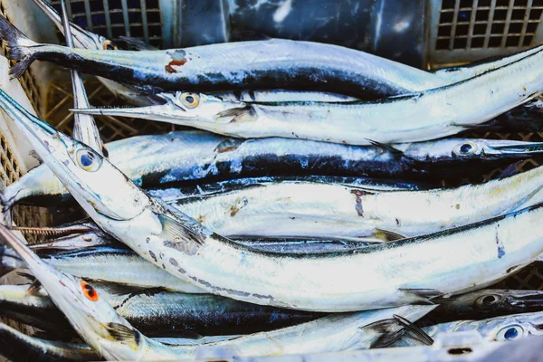 Fresh Ribbonfish Trichiurus Lepturus Sale Seafood Market Bali — Stock Photo, Image