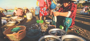 Mui ne - Vietnam - 22 Ocak 2019: Yerel satıcılar Mui ne, Vietnam 'daki ünlü balıkçı köyünde balık ve top mermisi topluyor