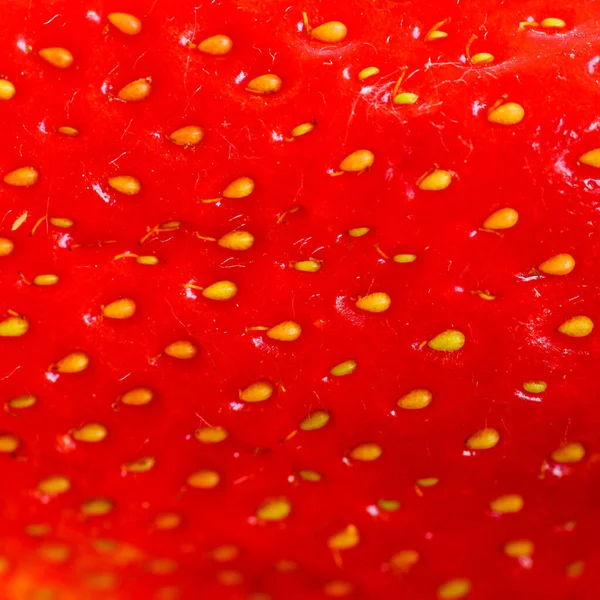 Imagem Macro Sementes Morango Vermelho Fresco Textura Superfície Vermelha Morango — Fotografia de Stock