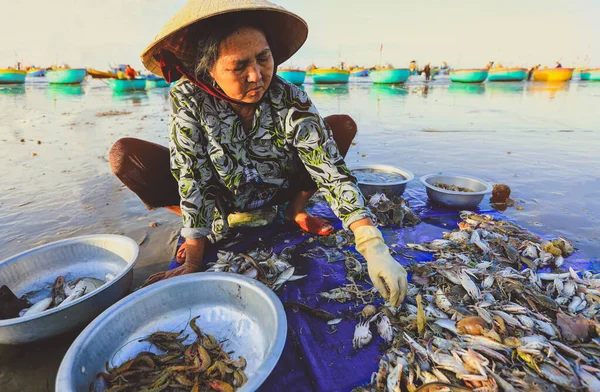 Mui Vietnam Ocak 2019 Yerel Satıcı Mui Ünlü Balıkçı Köyünde — Stok fotoğraf