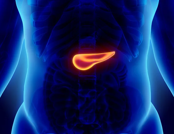 Illustrazione 3D del Pancreas - parte del sistema digestivo . — Foto Stock