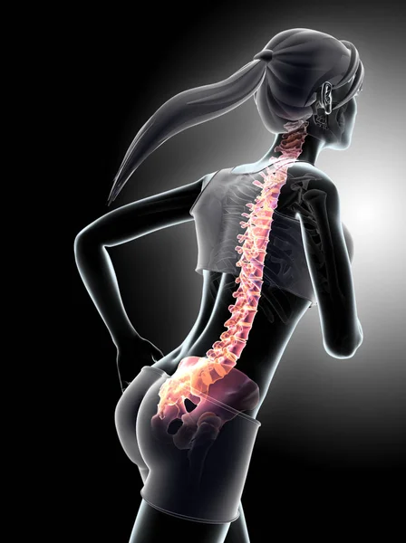 Ilustración 3d - Carrera femenina y posición de columna vertebral de rayos X . — Foto de Stock