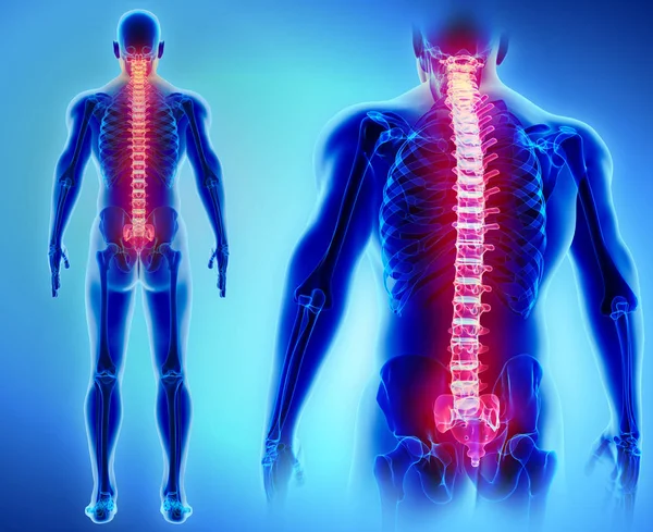 Illustrazione 3D della colonna vertebrale, concetto medico . — Foto Stock