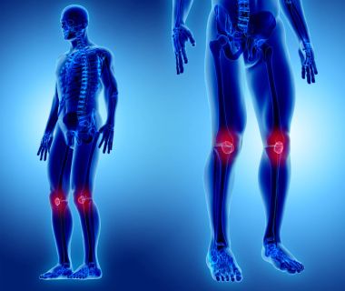 Patella, tıbbi kavramı 3D çizimi.