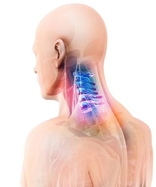 Ilustración 3D de la columna cervical, concepto médico . —  Fotos de Stock