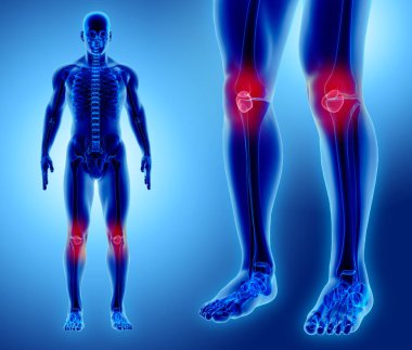 Patella, tıbbi kavramı 3D çizimi.