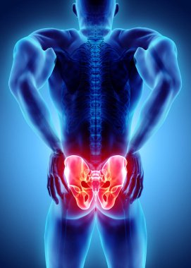 Kalça acı iskelet x-ray, 3d çizim.
