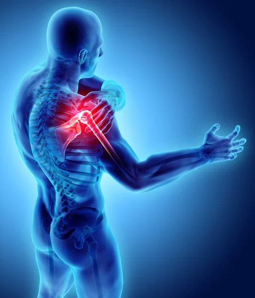 Omuz acı iskelet x-ray, 3d çizim.