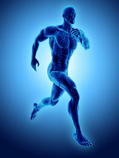 3D obrázek muž běží pozice s x-ray skeleton kloubu, med — Stock fotografie