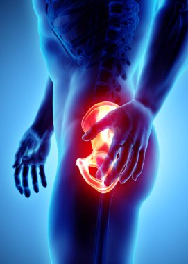 Kalça acı iskelet x-ray, 3d çizim.