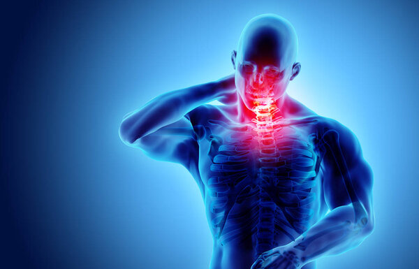 Neck painful - cervical spine skeleton x-ray, 3D illustration.