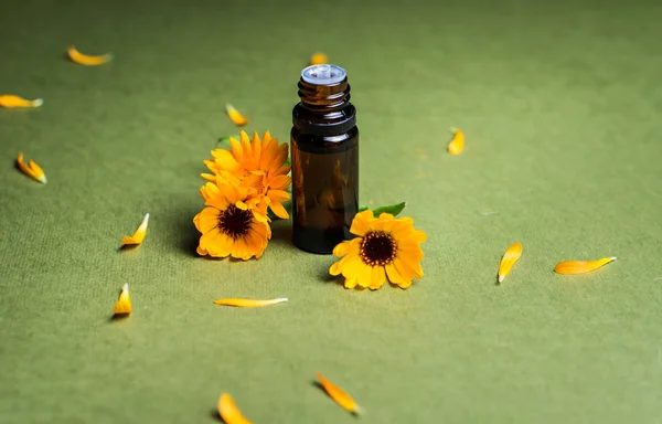 Essential aroma oil with calendula on green background. Selective focus. — Stock Photo, Image