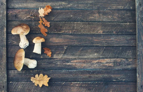 Funghi porcini freschi su fondo di legno con copyspace . Foto Stock Royalty Free