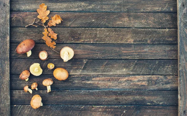 Аннулированный болет и осенние листья на деревянном фоне. Йелло Стоковое Фото
