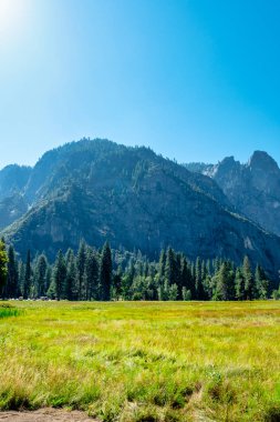 Yosemite Ulusal Parkı 'ndaki dağ manzarası