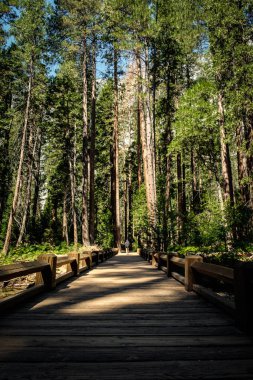 Yosemite Şelalesi 'ne giden tahta köprü geçidi.