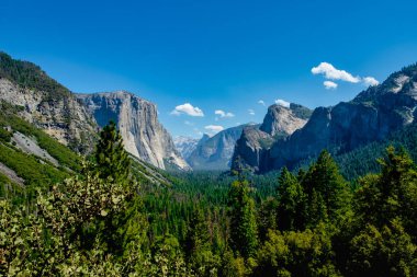 Yosemite Ulusal Parkı 'nın tünel manzarası, Güzel Orman Ian