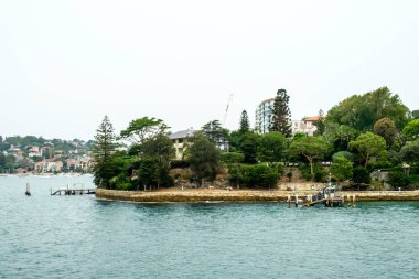 Sidney, Avustralya 'da şehir manzarası panoramik çekimi