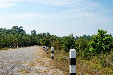 Tayland 'daki ünlü milli parktaki ağaçların ve göllerin ortasında kimsenin olmadığı çakıllı bir yol.