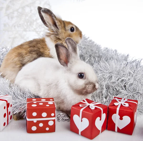 Christmas rabbit decoration — Stock Photo, Image