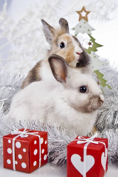 Christmas rabbit decoration — Stock Photo, Image