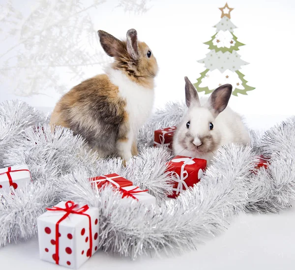 Décoration lapin de Noël Photo De Stock