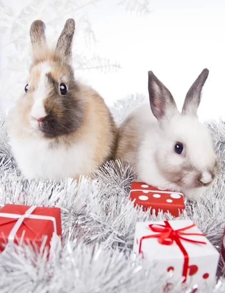 Décoration lapin de Noël Images De Stock Libres De Droits