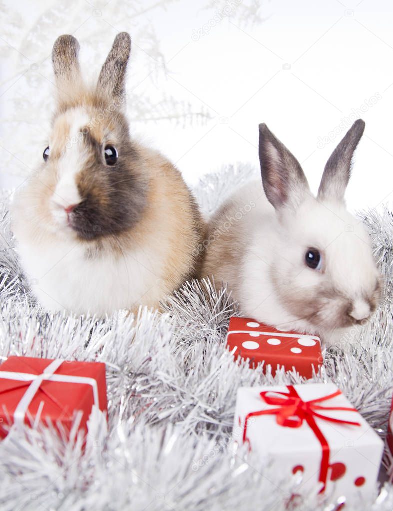 Christmas rabbit decoration